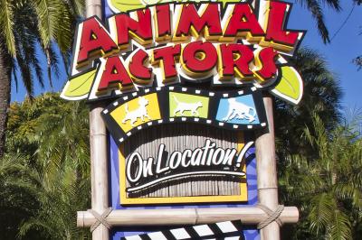Animal Actors on Location! | American Attractions