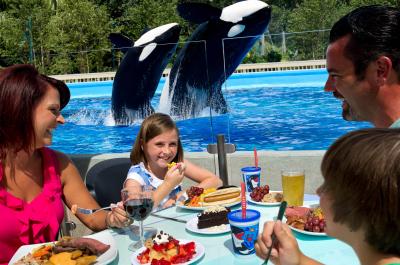 Dine with Killer Whales