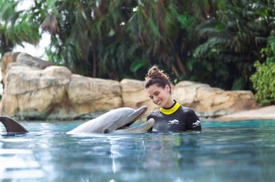 Discovery Cove Day Only Experience 
