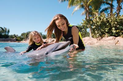 Discovery Cove Ultimate Package with Free Parking