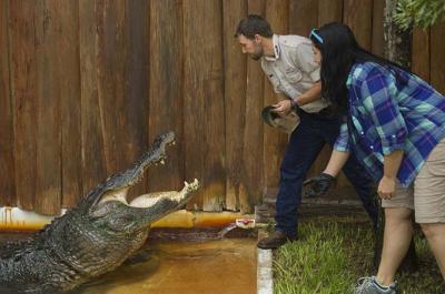 Gatorland Trainer for a Day