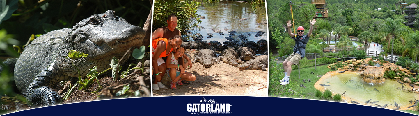 Postcard Gatorland Zoo, Orlando, Florida