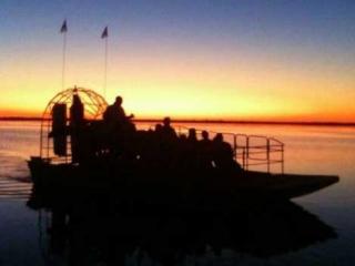 Wild Florida Airboat Night Ride with Gator Park Admission